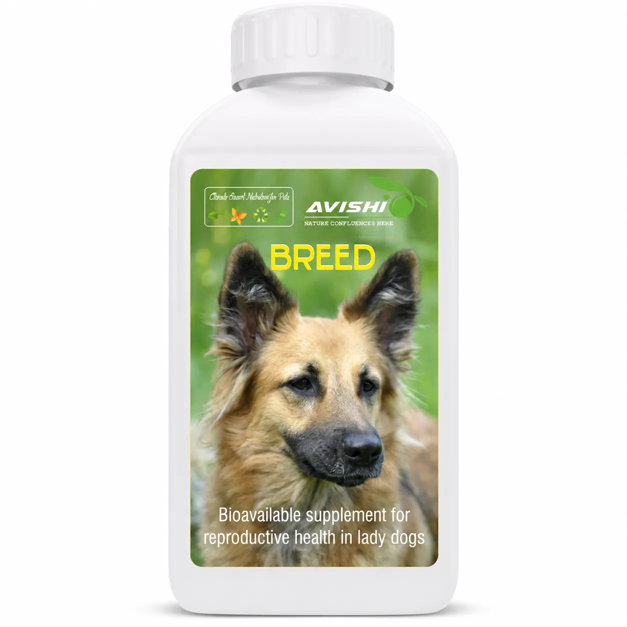 AVISHI BREED