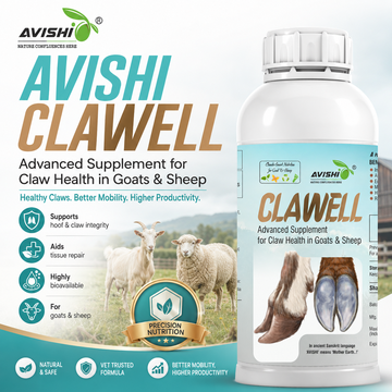 AVISHI CLAWELL