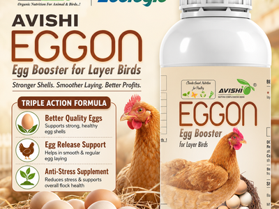 AVISHI EGGON