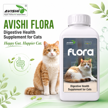 AVISHI FLORA