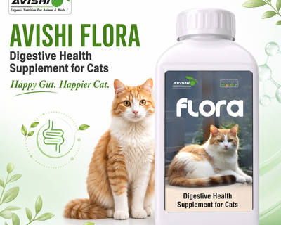 AVISHI FLORA