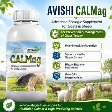 AVISHI CALMAG