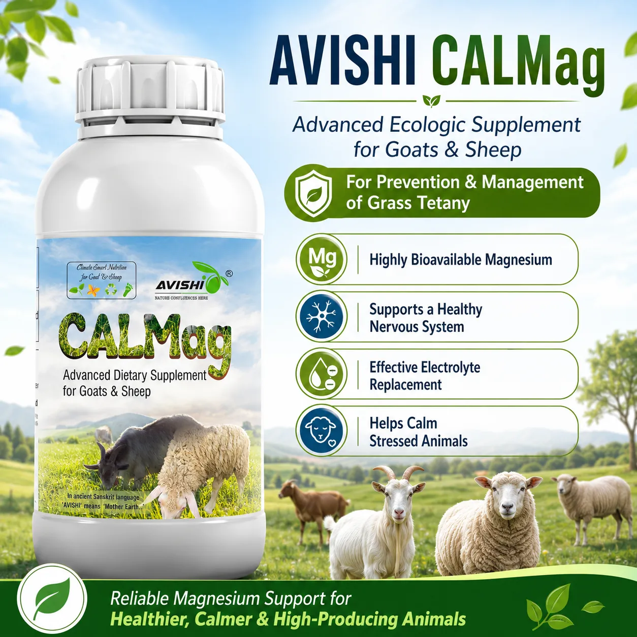 AVISHI CALMAG