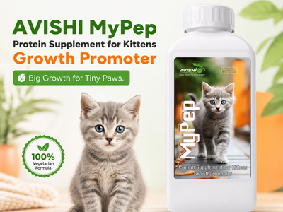 AVISHI MYPEP