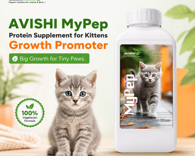 AVISHI MYPEP
