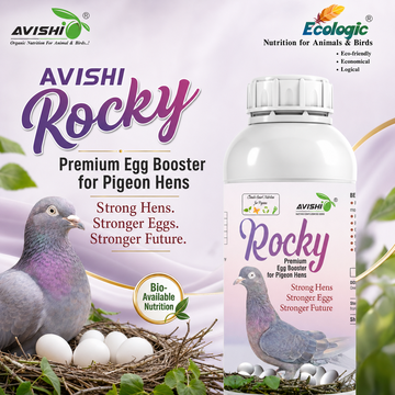 AVISHI ROCKY