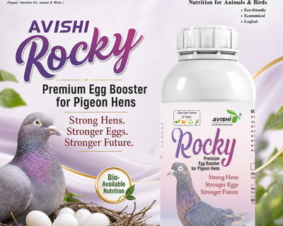 AVISHI ROCKY