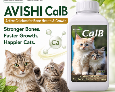 AVISHI CalB