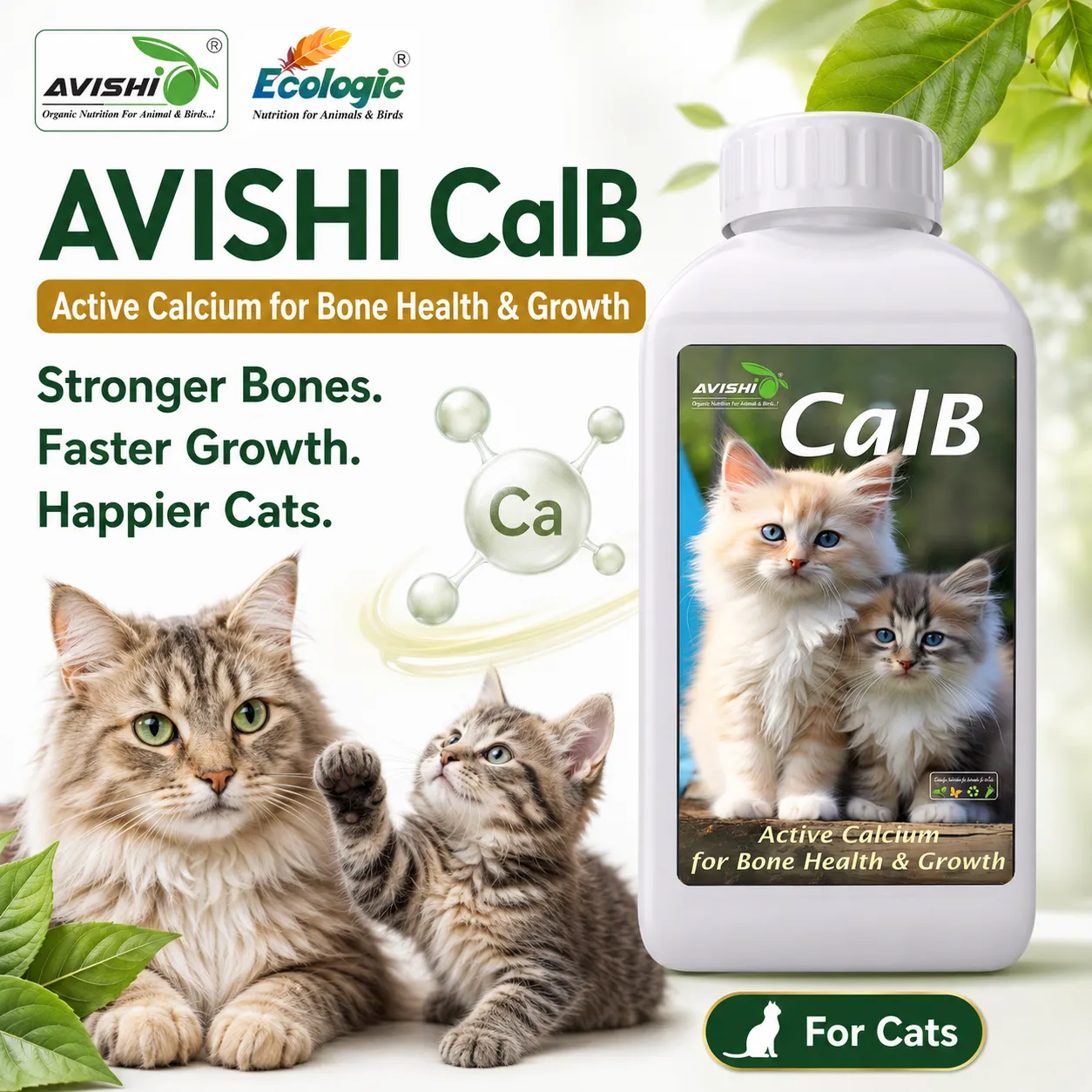 AVISHI CalB