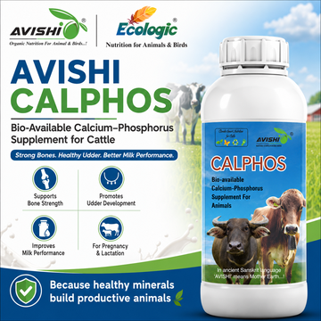AVISHI CALPHOS