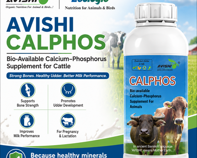 AVISHI CALPHOS