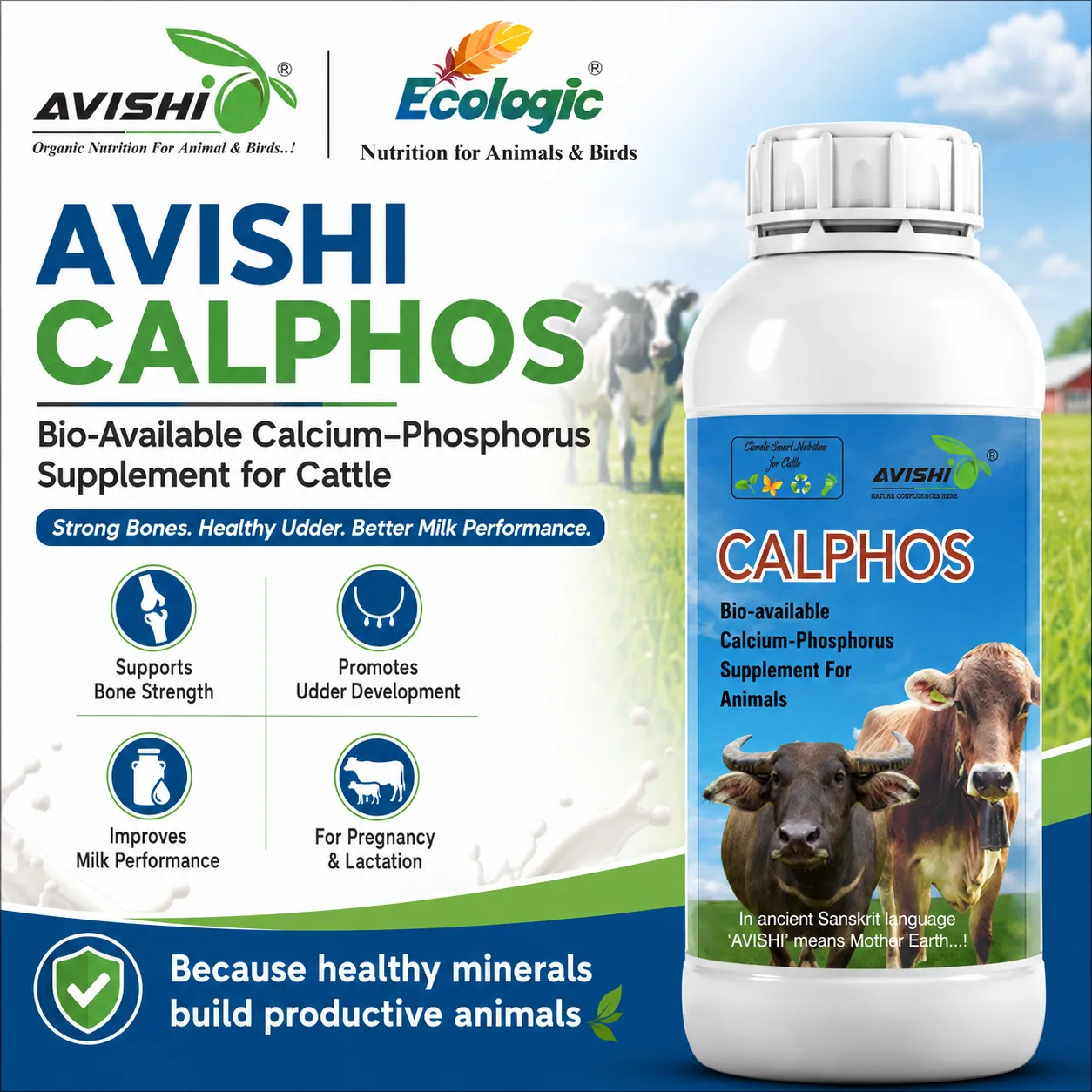 AVISHI CALPHOS