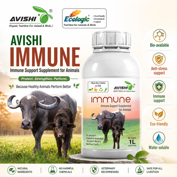 AVISHI IMMUNE