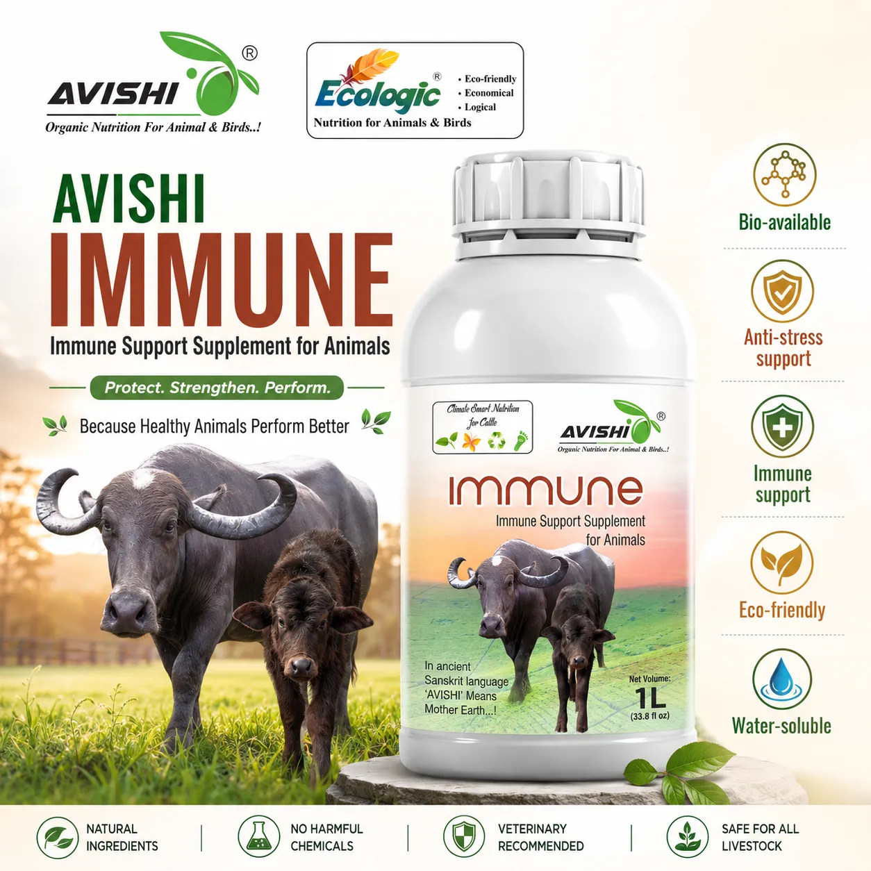 AVISHI IMMUNE