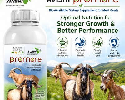 AVISHI PROMORE
