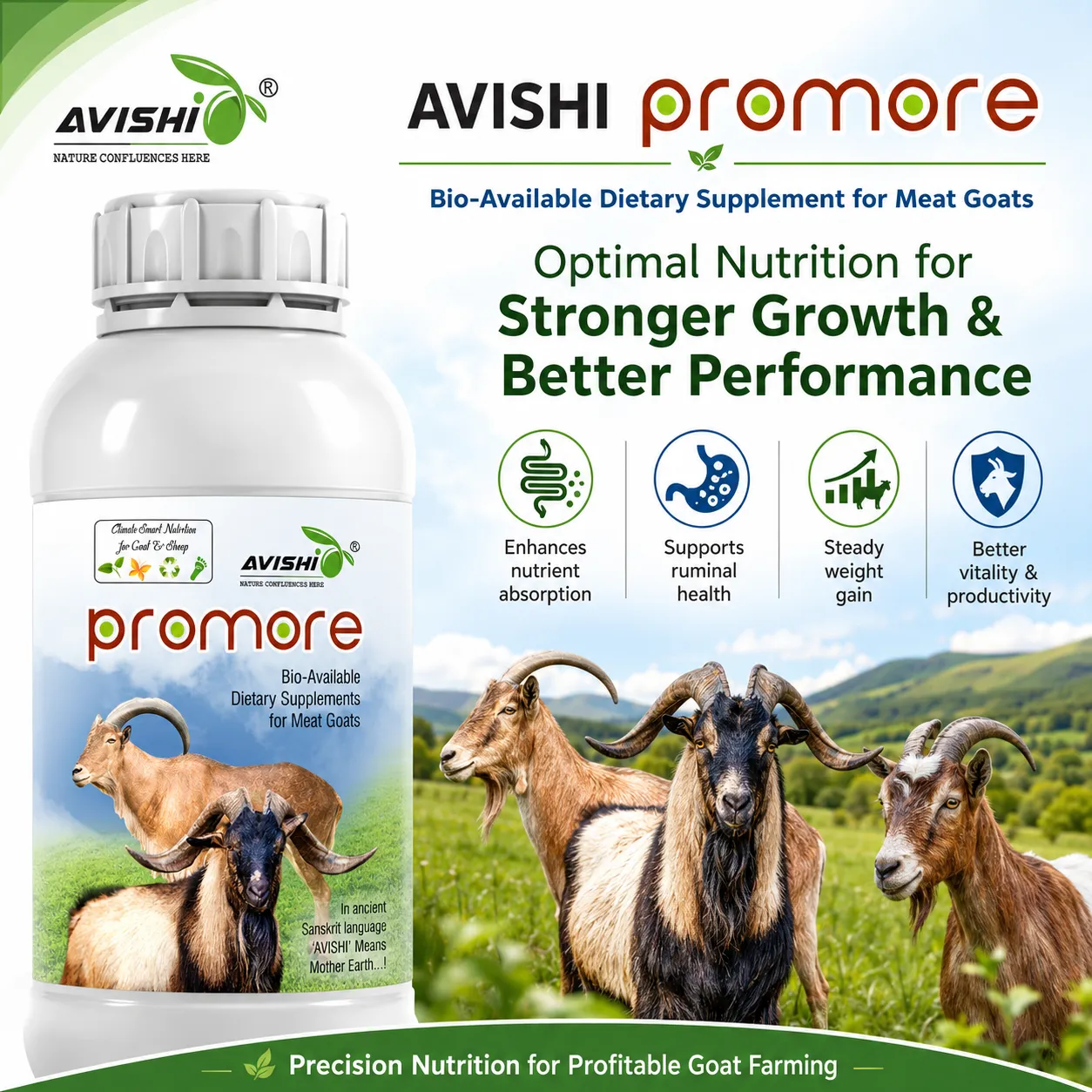 AVISHI PROMORE