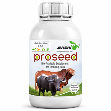 AVISHI PROSEED