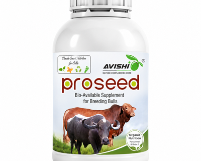 AVISHI PROSEED