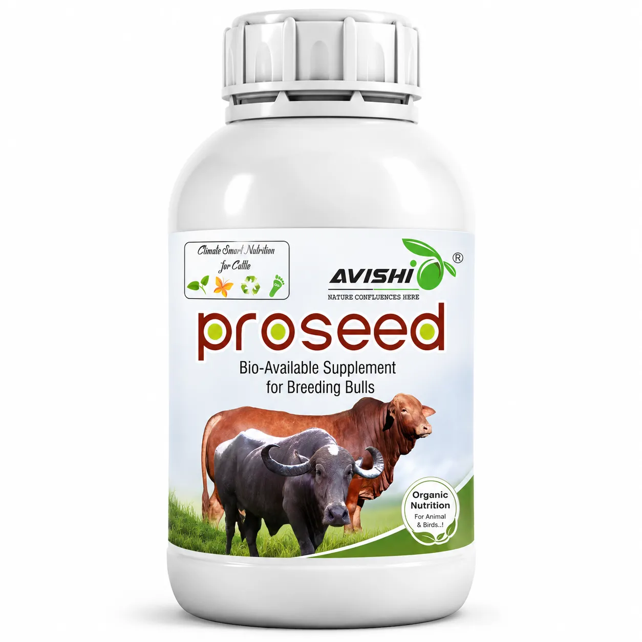 AVISHI PROSEED