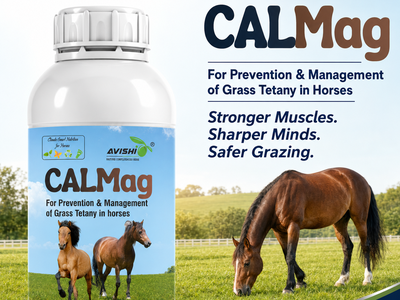 AVISHI CALMAG