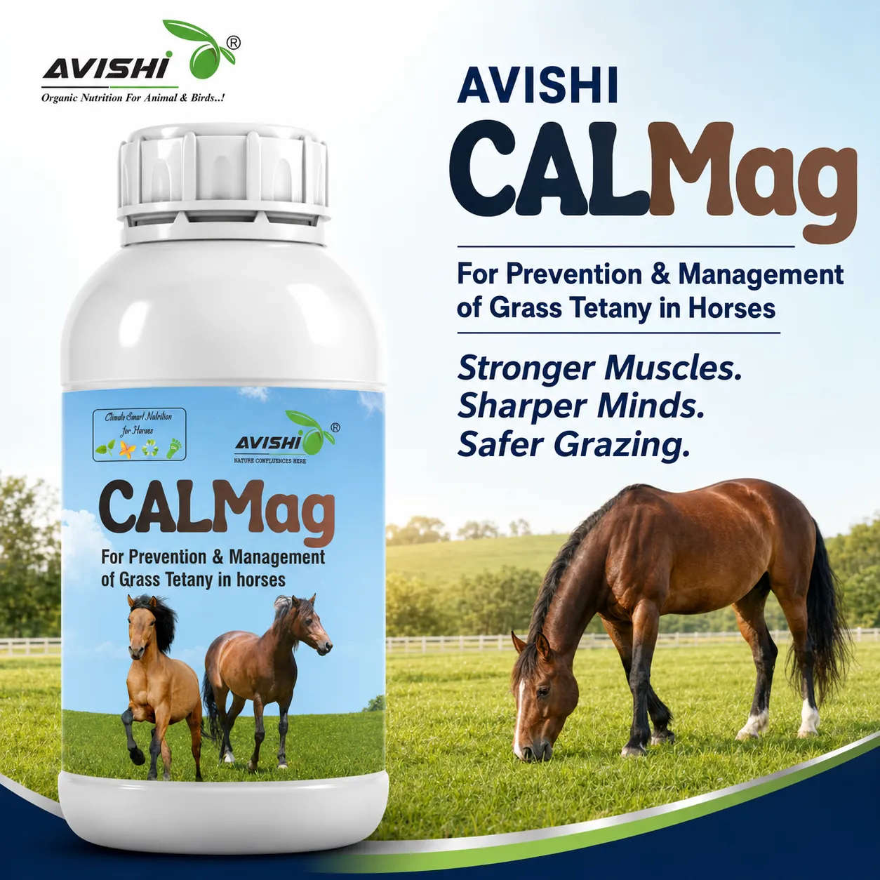 AVISHI CALMAG