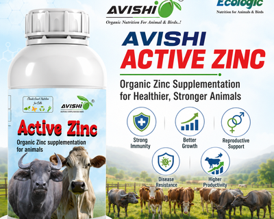 AVISHI ACTIVE ZINC