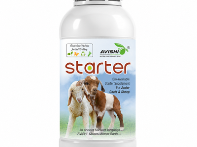 AVISHI STARTER
