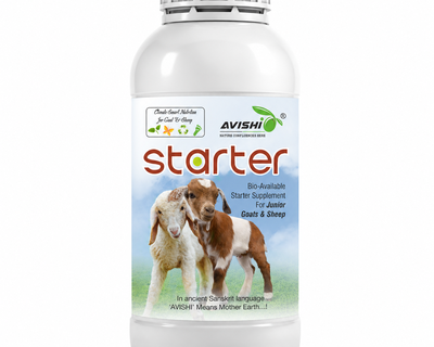 AVISHI STARTER