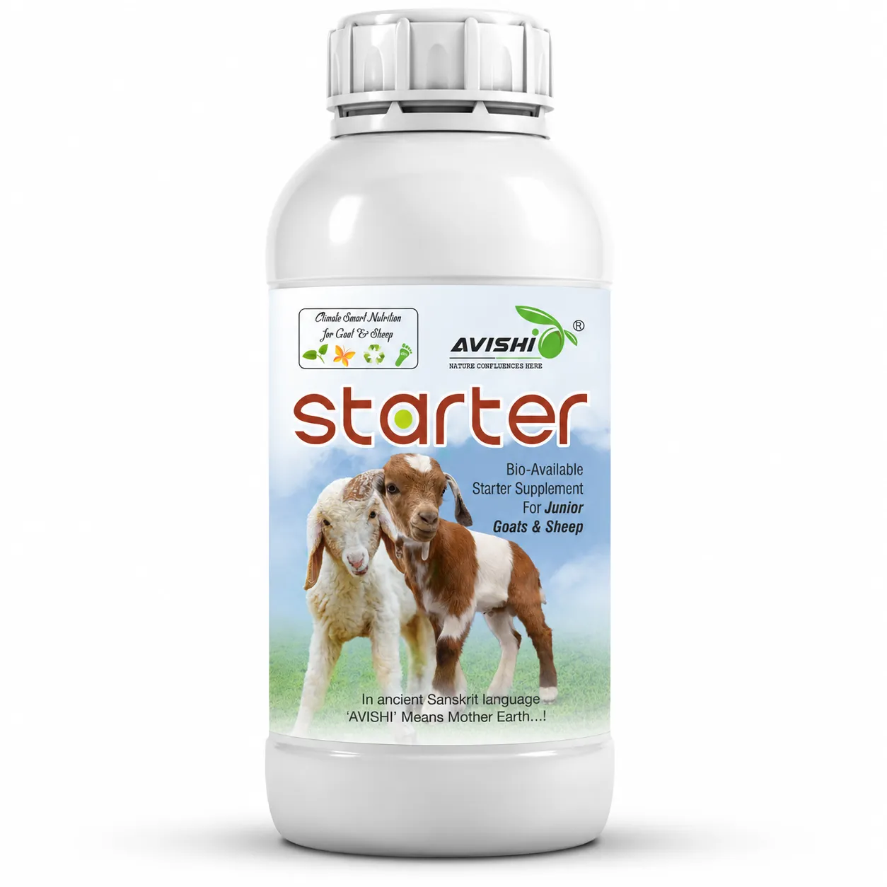 AVISHI STARTER