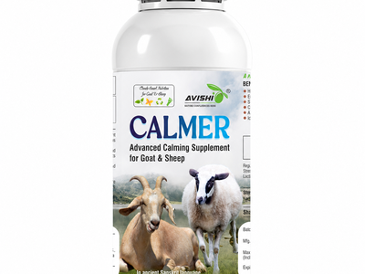AVISHI CALMER