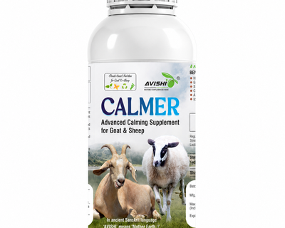 AVISHI CALMER