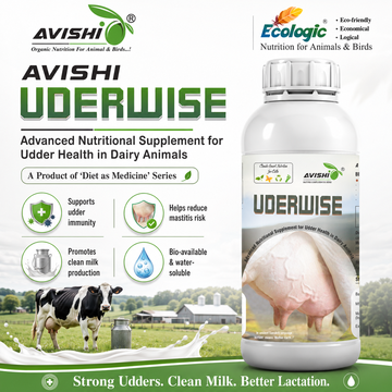 AVISHI UDERWISE