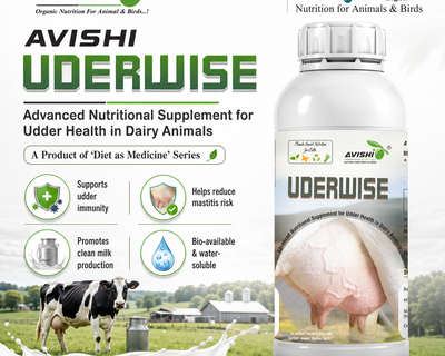 AVISHI UDERWISE