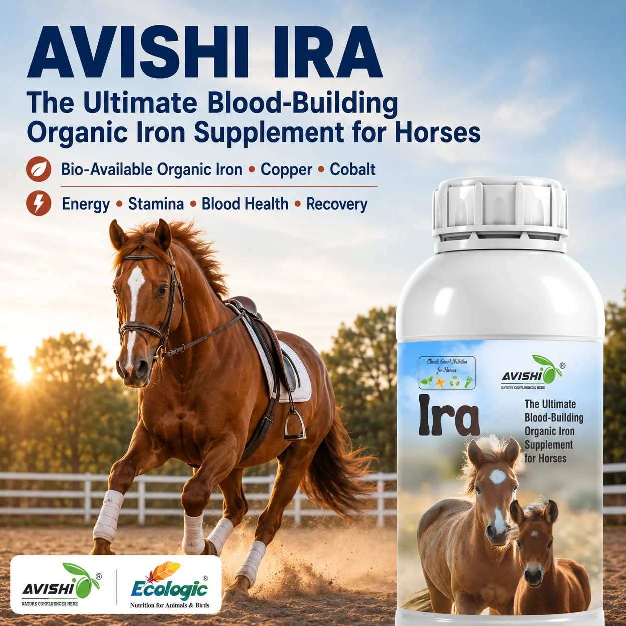 AVISHI IRA