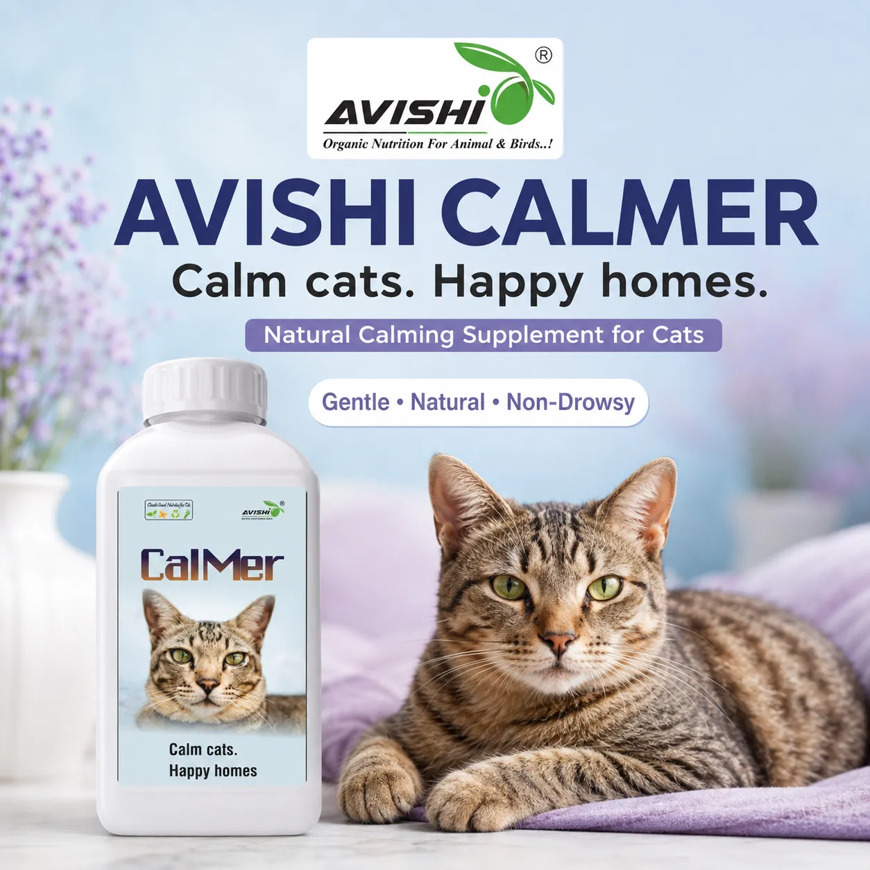AVISHI CALMER