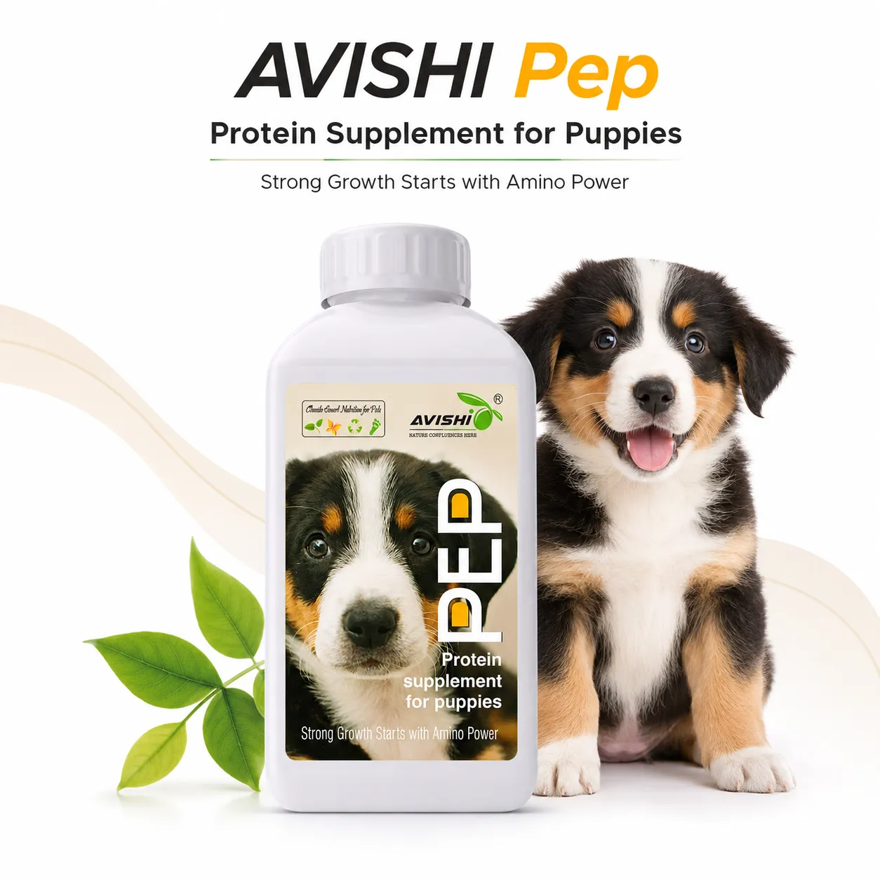 AVISHI PEP