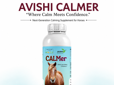 AVISHI CALMER