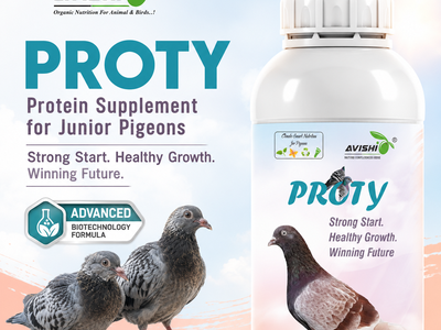 AVISHI PROTY