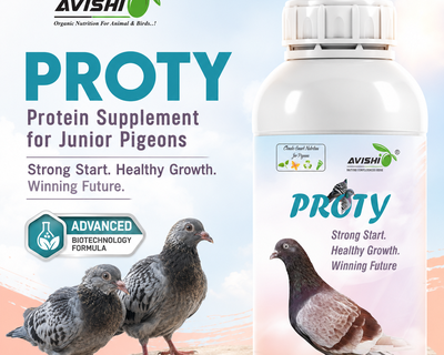 AVISHI PROTY
