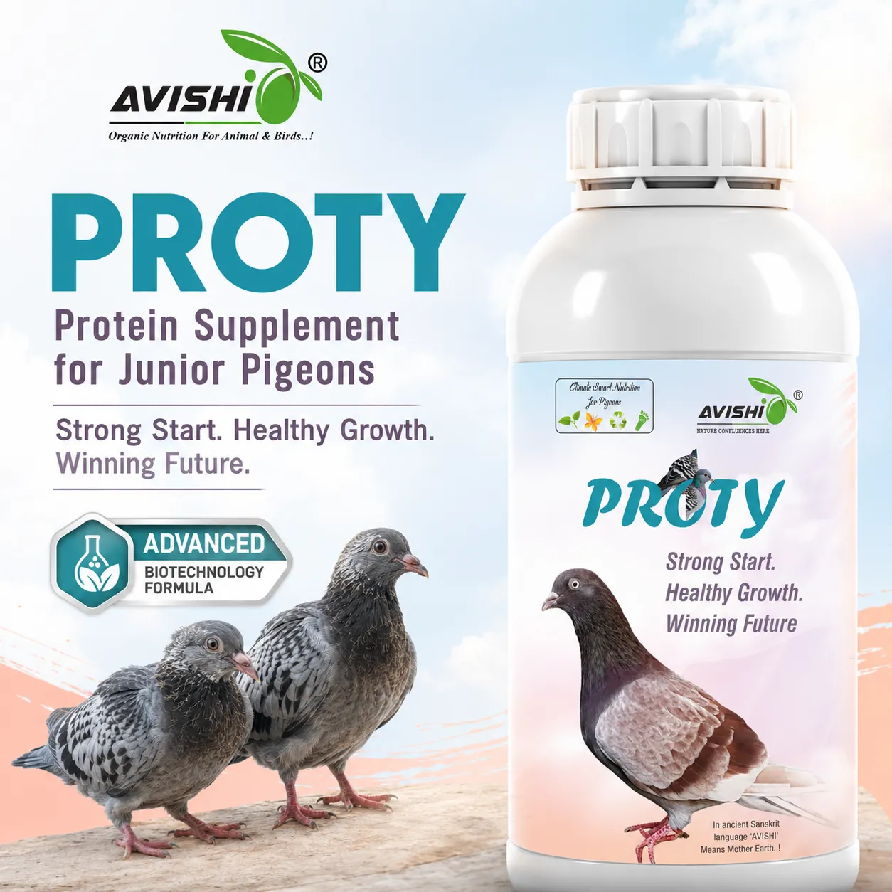 AVISHI PROTY