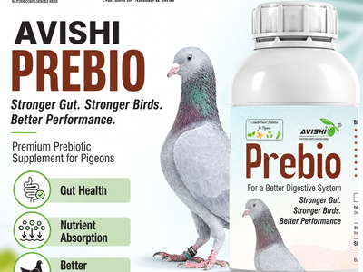 AVISHI PREBIO