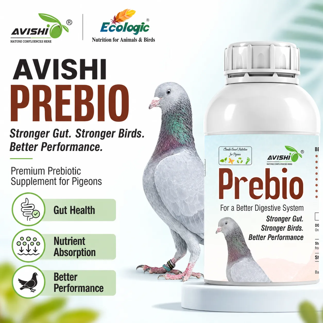 AVISHI PREBIO