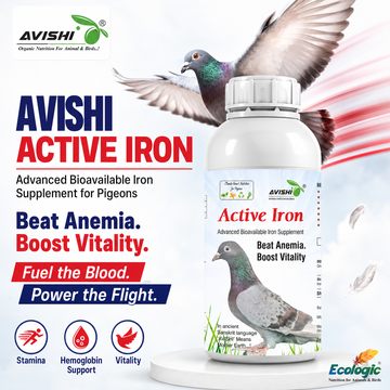 AVISHI ACTIVE IRON