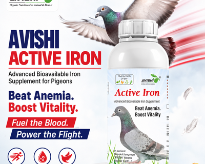 AVISHI ACTIVE IRON