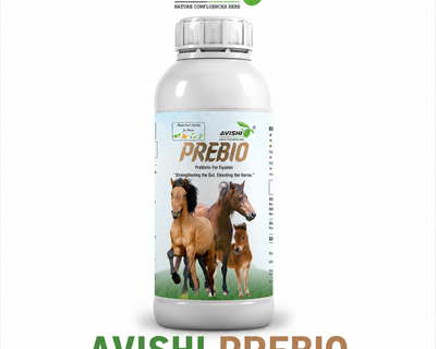 AVISHI PREBIO
