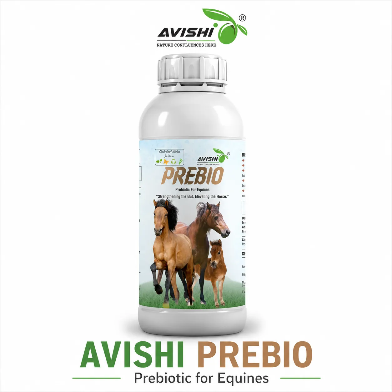 AVISHI PREBIO