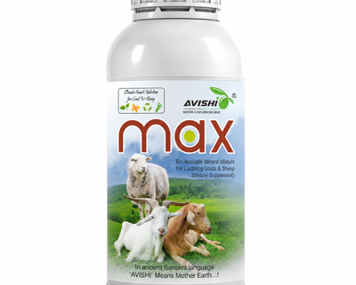 AVISHI MAX