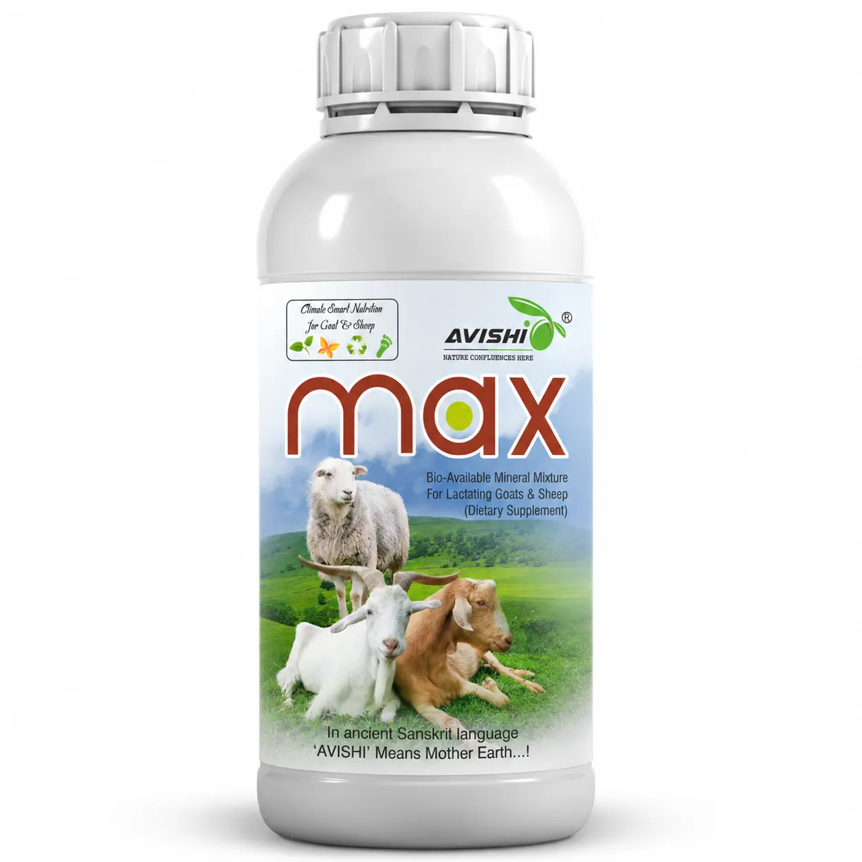 AVISHI MAX