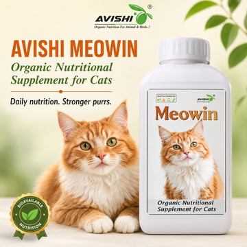 AVISHI MEOWIN