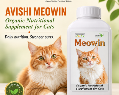 AVISHI MEOWIN